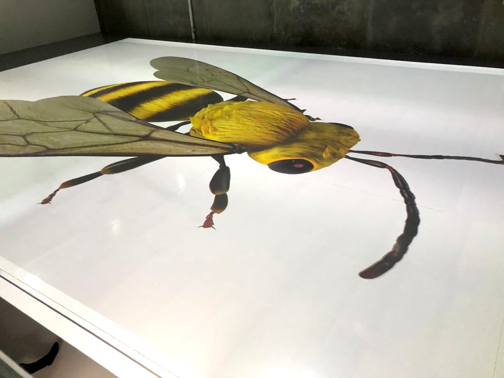 BuildingReality-FloorProjection6