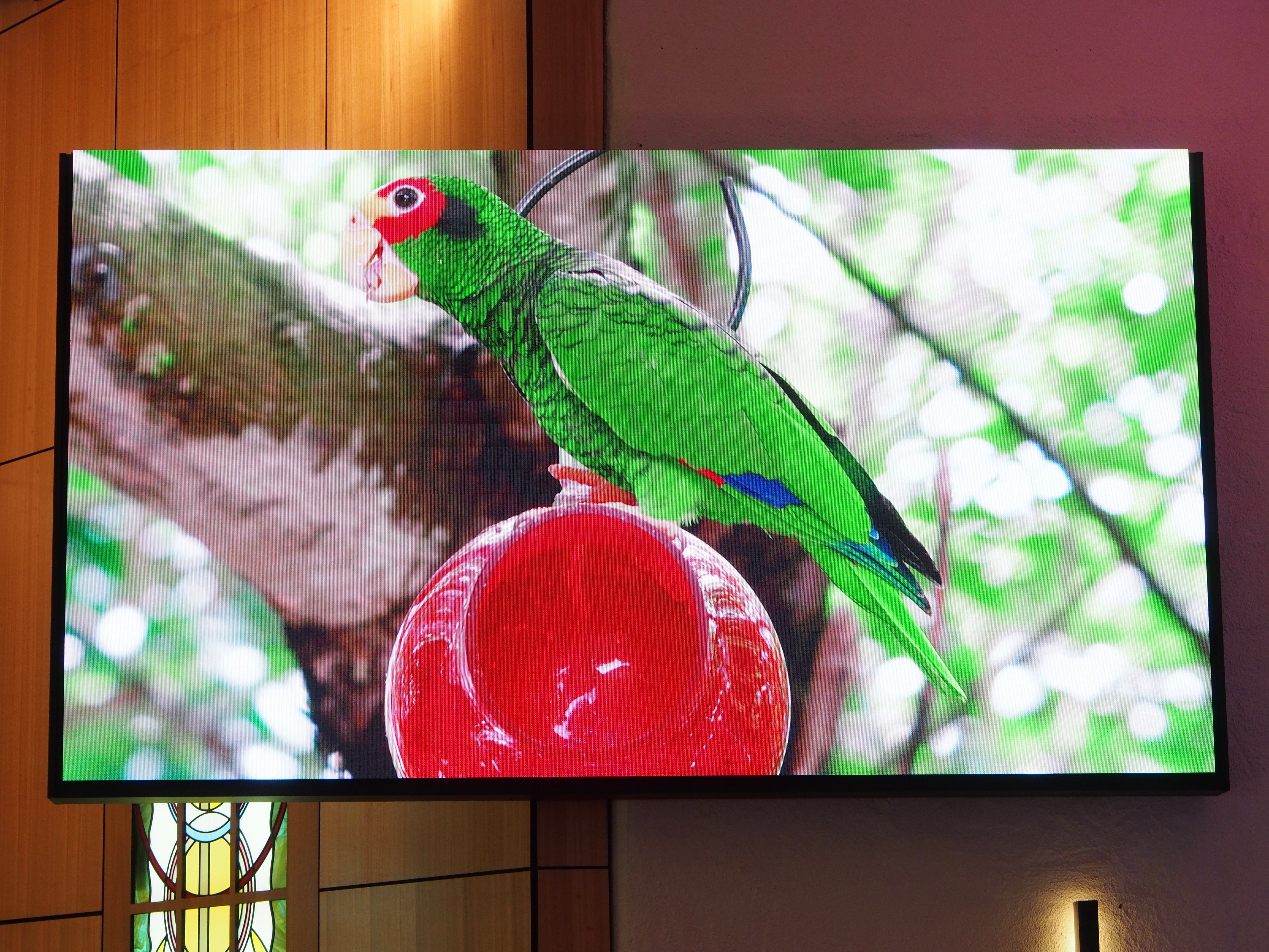 Scotch College Chapel Perth 3